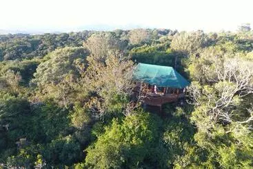 Majatalo Teniqua Treetops