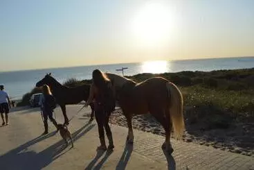 Apartaments turístics Huis Aan Honte