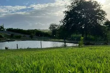 Turist apartmanları Winterville709