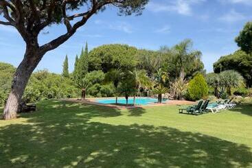 Pisos turísticos Guaracha 1