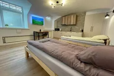 Pension Modern Guest House In City Center I Room 1