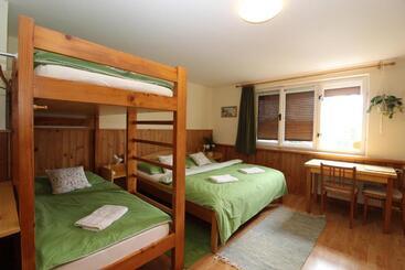 Panzió Penzion Petra