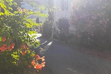 Bed and Breakfast Alma Bella