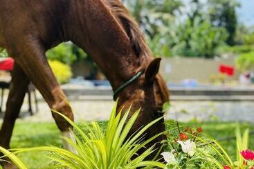 The Kingslayer Resort