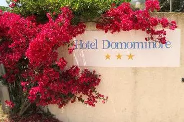 هتل Domominore