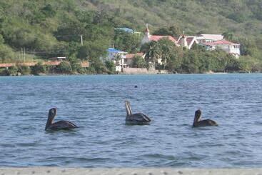 هاستل Posada Sunshine Paradise