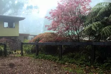 ベッドアンドブレックファースト Tomah Retreat   Studio Breathe With Fireplace