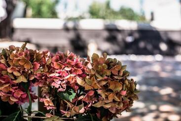 Panzió Boróka Vendégház Tóalmás