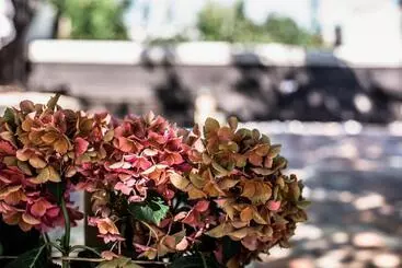 Majatalo Boróka Vendégház Tóalmás