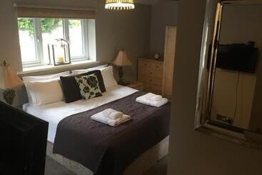 Hotel The Curious Fox