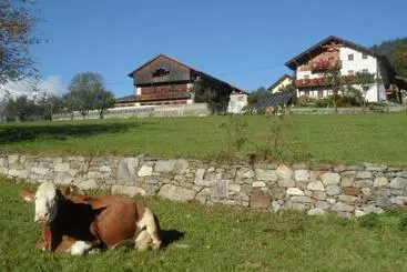Moarhof