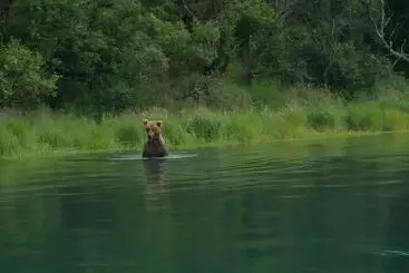 Hotelli Alaska S Gold Creek Lodge