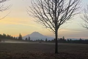 Hotelli Lodges On Vashon