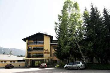 Hotel Bor