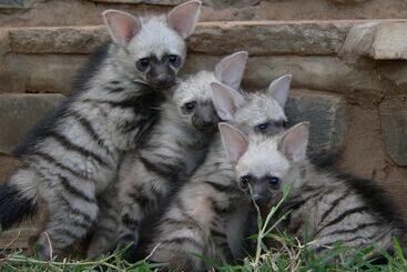 ホテル Ohange Namibia Lodge