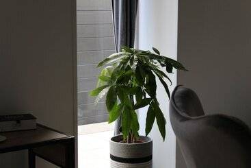 Nocleg ze śniadaniem Aux P Tits Bonheurs La Grange