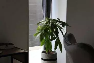 Aamiaismajoitus (B&B) Aux P Tits Bonheurs La Grange