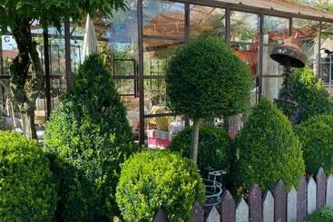 Bed and Breakfast La Maison Du Bonheur