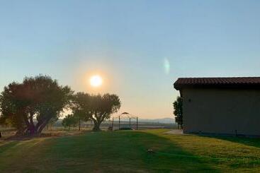 Il Poggio Di Musignano