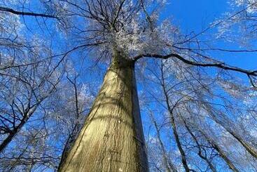 Pansiyon Au Vieux Château