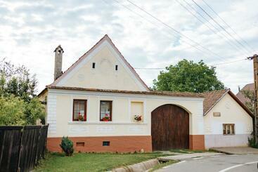 Пансион Casa Tradițională Transilvăneana
