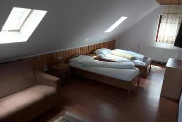 Pension Casa Delureni