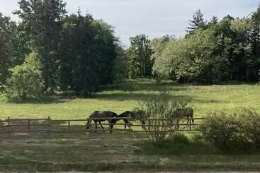 Bed & Breakfast Chateau Tout Y Fault