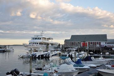 住宿加早餐 Honeysuckle Hill Inn