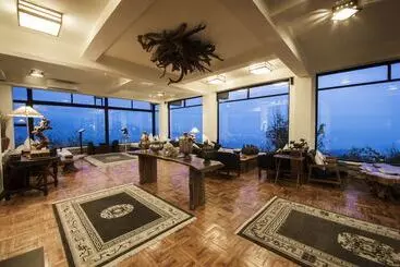 酒店 The Dwarika S Resort