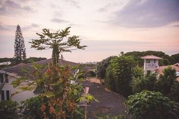 Pansiyon Kona Hawaii Guest House A Unique Hawaii Experience