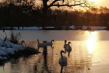 פנסיון The Lighthouse
