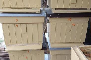 Bed and Breakfast Agroturystyka Cold Sea