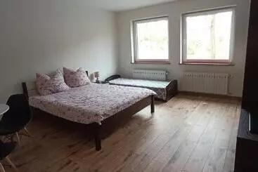Srebrny świerk