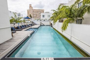 فندق صغير Posh South Beach