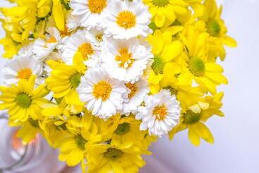 호스텔 Chata Pogaduchy