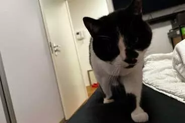 Hotelli Voyagers Amsterdam