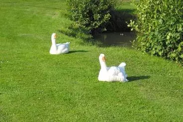 酒店 Résidence Lagrange Vacances Les Hauts De Clairvallon