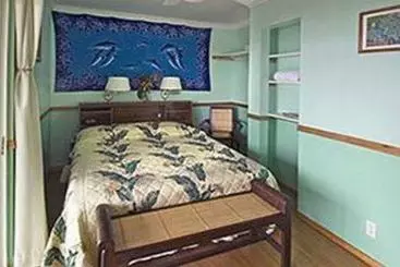 ベッドアンドブレックファースト Mango Sunset Bnb Inn At Lyman Organic Kona Coffee Farms