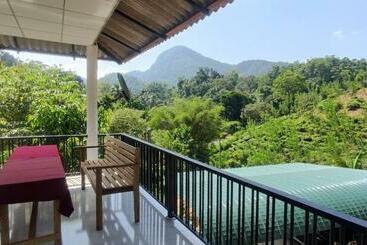 Bed and Breakfast Phoenix Villa