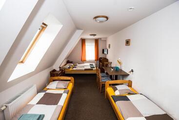 膳宿费 Penzion Avionika