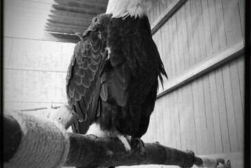 تختخواب و صبحانه Inn At Clearwater Pond