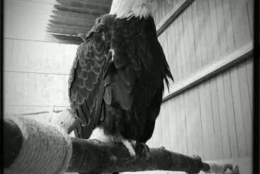 住宿加早餐 Inn At Clearwater Pond