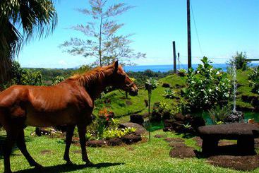 Szálloda Hilltop Legacy Vacation Home