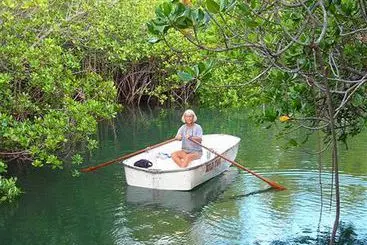 Palmlea Farms Lodge And Bures Villas