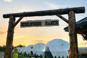 渡假胜地  глемпінг едельвейс