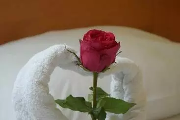 تختخواب و صبحانه Lupus