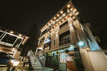 هاستل Mushrooms