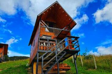 Bed & Breakfast Glamping Hakuna Matata