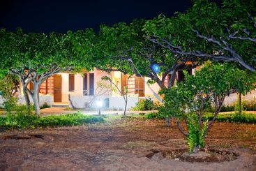 דירות לתיירים Dolphin Apartments