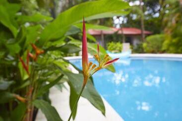 アパートホテル Living